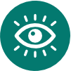 Our-Vision-Icon