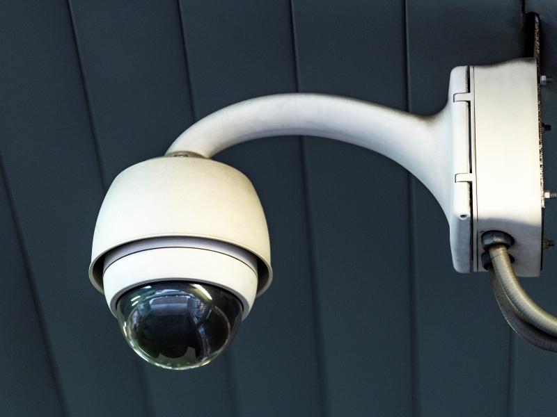 Motion Detection Cameras